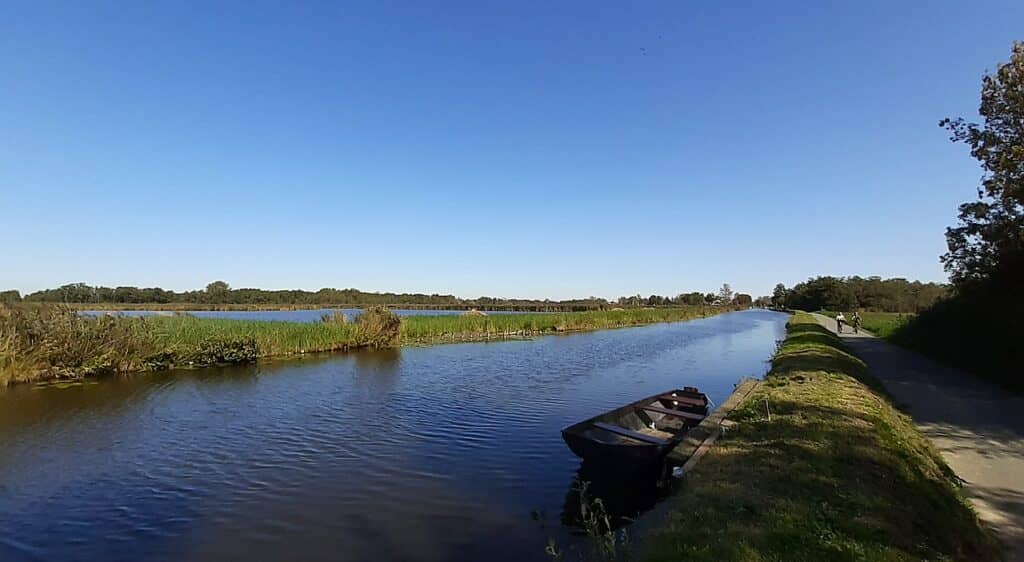 Nieuwkoopse Plassen