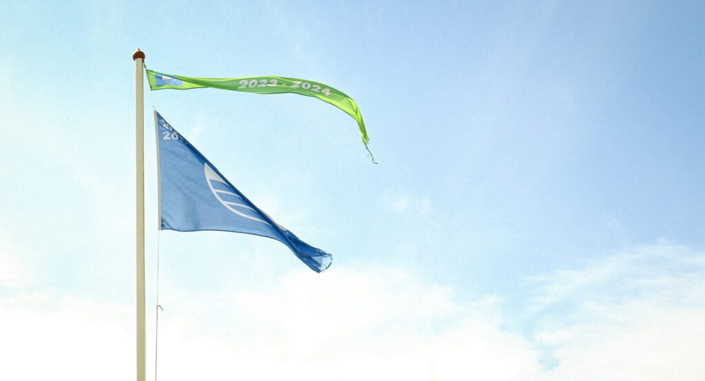 Blauwe vlag en groene wimpel