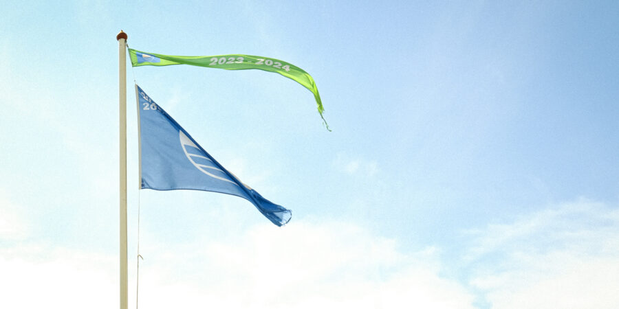 Blauwe vlag en groene wimpel