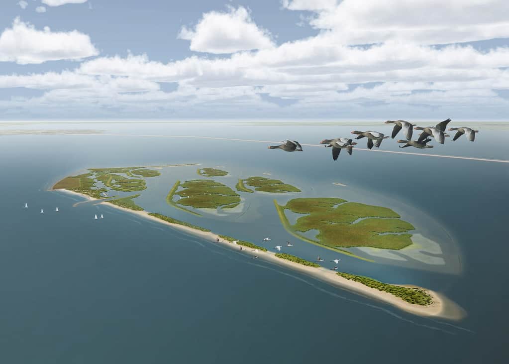 Markerwadden