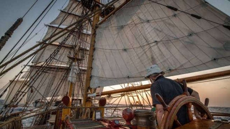 Bark Europa