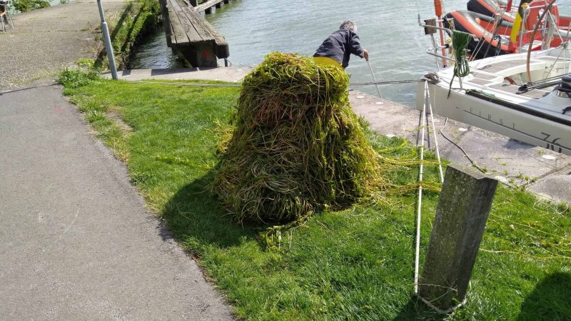 Enorme overlast door wier, watersporters opgelet
