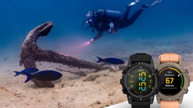 Garmin Descent G2-Nauticlink