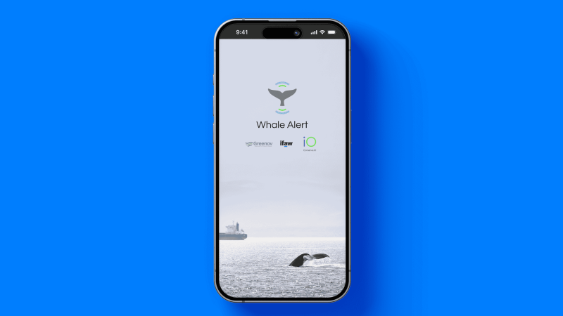 Gratis app Whale Alert-Nauticlink