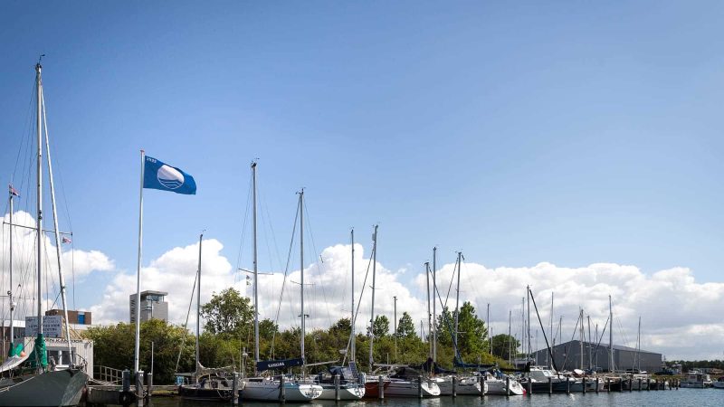 Blauwe Vlag