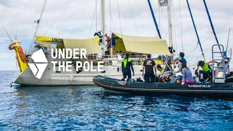 MERCURY MARINE UNDER THE POLE IV DEEPLIFE