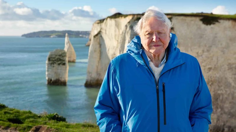 Ocean With David Attenborough  Keith Scholey ©Silverback Films and Open Planet Studios