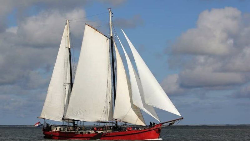 Rode Swan 1
