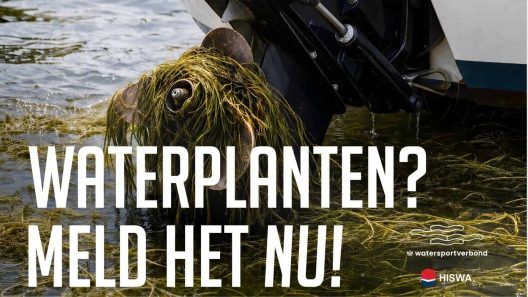 Vaarmarkt waterplant meld het nu
