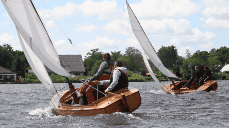 Oud Zeilend Hout 2023