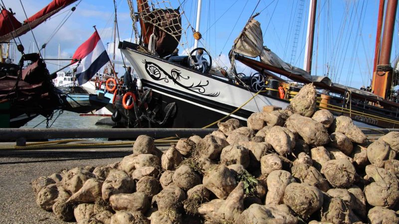 schepen en bieten fotocredits Vivian Kramer