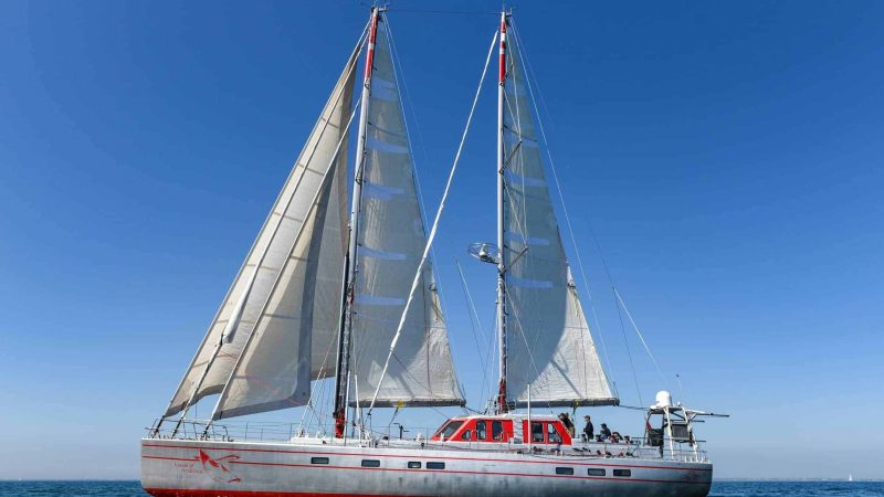Pelagic 77 'Vinson of Antarctica'